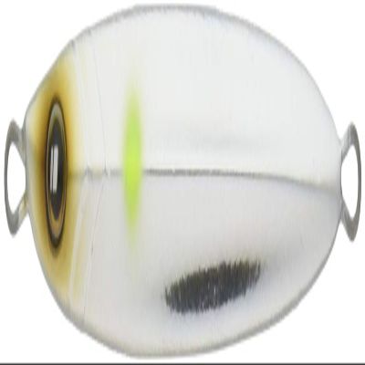 Major Craft TJD SLOW-80#6 Silver Metal Jig, Tachijigi Dojo Slow Fall Jig, 2.8 oz (80 g)