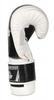 Bushido Tiger Edition Boxing Gloves Training Bag Assorted Size (10 oz) view 2