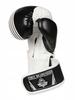 Bushido Tiger Edition Boxing Gloves Training Bag Assorted Size (10 oz) view 3