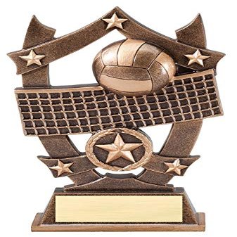Express Medals 6.25 Inch Sport Star Volleyball Trophy Award with Engraved Personalized Plate 5-Pack