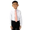Spring Notion Boys' Satin Zipper Necktie and Handkerchief Set Small Peach view 2