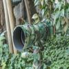 SE Survivor Series Jungle Camouflage Cloth Tape - OD-T233AC view 2
