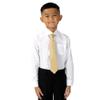 Spring Notion Boys' Satin Zipper Necktie and Handkerchief Set Large Antique Gold view 2
