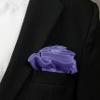 Spring Notion Boys' Satin Zipper Necktie and Handkerchief Set Small Wisteria view 3