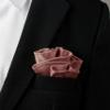 Spring Notion Boys' Satin Zipper Necktie and Handkerchief Set Small Pink Copper view 3