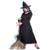 Witch Halloween Costumes for Women - Adult Classic Womens Elegant Wicked Witch Costume Black view 2