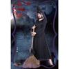 Witch Halloween Costumes for Women - Adult Classic Womens Elegant Wicked Witch Costume Black view 4