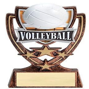 Express Medals 6 Inch 4 Star Volleyball Trophy Award with Engraved Personalized Plate 5-Pack