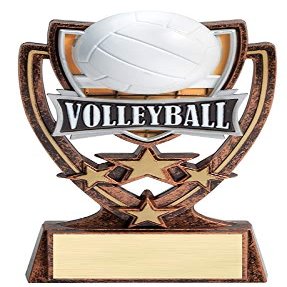Express Medals 6 Inch 4 Star Volleyball Trophy Award with Engraved Personalized Plate 5-Pack