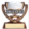 Express Medals 6 Inch 4 Star Volleyball Trophy Award with Engraved Personalized Plate 5-Pack view 1
