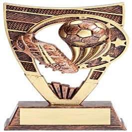 Express Medals 7 Inch Shield Soccer Trophy Award with Engraved Personalized Plate 5-Pack