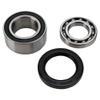 Arctic Cat Jack Shaft Bearing and Seal Kit 700 F 7 Firecat, Sno Pro 2005-2006 Snowmobile Part# 141-9011 view 1