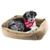 About Face Designs Wild Animal Dog X-Large Pet Bandana, Pink Camo view 2