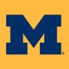 UGP Campus Apparel YH02 - Michigan Wolverines Primary Logo YOUTH HOODIE - X-Large - Gold view 3
