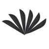 50 PCS 2 Inch Arrow Natural Feathers Archery Turkey Fletch Fletching Right Wing for DIY Archery (Black)