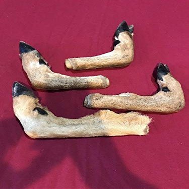 Deer Feet Cured Knife Handle Gun Rack Witch Craft Animal Mount Antler Art (4 Pack)