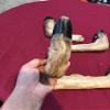 Deer Feet Cured Knife Handle Gun Rack Witch Craft Animal Mount Antler Art (4 Pack) view 4