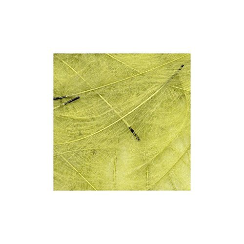 Petitjean CDC Feathers 5 Gram Bags - Dirty Yellow