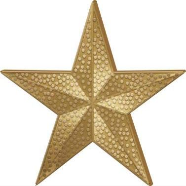 Crown Awards Gold Star Chenille Pins - Antiqued Gold Star Lapel Pin 100 Pack Prime