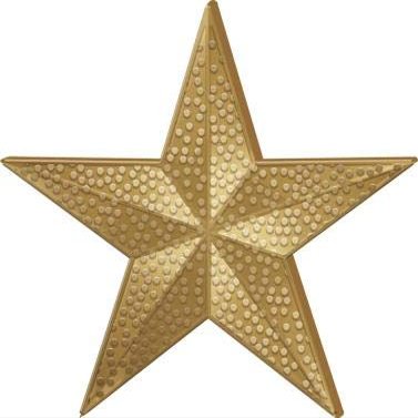 Crown Awards Gold Star Chenille Pins - Antiqued Gold Star Lapel Pin 100 Pack Prime