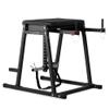 Titan Fitness Economy H-PND, Reverse Hyperextensions Lower Body Machine, Rated 550 LB, Specialty Home Gym Machine for Physical Therapy, Back Rehab Exercises, and Everyday Training view 1