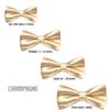 Classic Gift Wedding Tuxedo Suits Satin Bow Ties from Boy Baby Toddler to Adult (Medium (5-14 Years Old), Champagne) view 3