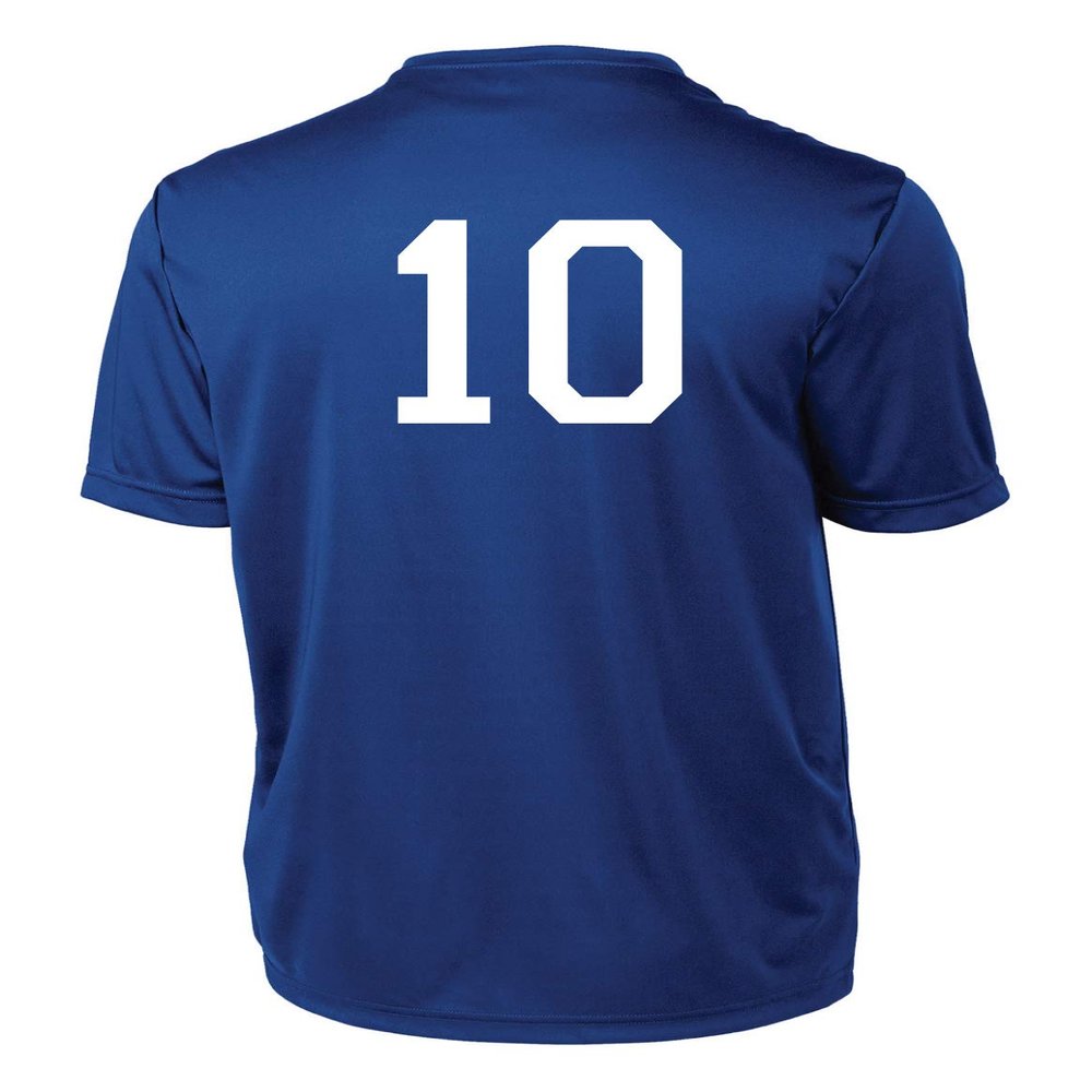 Performance Soccer Training Jersey, with Player Number on Back - Size Youth L - Color Royal