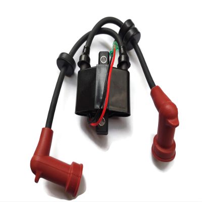 ITACO Boat Motor 689-85570-21 689-85570-20 Ignition Coil Assy for Yamaha Outboard 2-Stroke Marine Engine