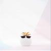 Floral Print Women's Sunglasses (Pack of 1) view 4