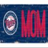 Fan Creations MLB Minnesota Twins Unisex Minnesota Twins Welcome Home Sign, Team Color, One Size view 1