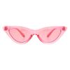 SA106 Girls Kid Size Gothic Cat Eye Pimp Color Lens Plastic Sunglasses Pink view 1