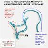 Star Point Horsemanship Mini-Pony 4 Knotted Rope Halter & 8' Lead Set (Teal, XL 42-52" Pony) view 2