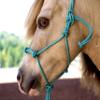 Star Point Horsemanship Mini-Pony 4 Knotted Rope Halter & 8' Lead Set (Teal, XL 42-52" Pony) view 3