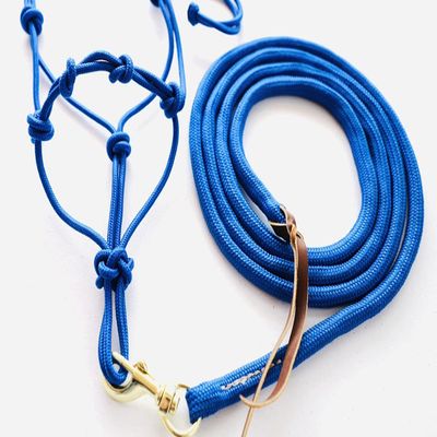Star Point Horsemanship Mini-Pony 4 Knotted Rope Halter & 8' Lead Set withStiff Cord, Adjustable, Long Lasting, Quick Release Buckle (Royal Blue, Large 36-42" Pony)
