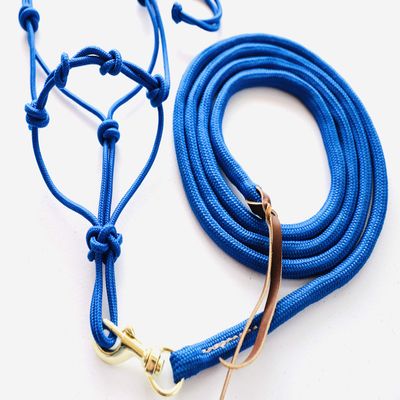 Star Point Horsemanship Mini-Pony 4 Knotted Rope Halter & 8' Lead Set (Royal Blue, XL 42-52" Pony)