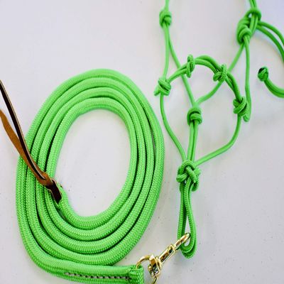 Star Point Horsemanship Mini-Pony 4 Knotted Rope Halter & 8' Lead Set withStiff Cord, Adjustable, Long Lasting, Quick Release Buckl (Lime, Small 28-32" Mini)
