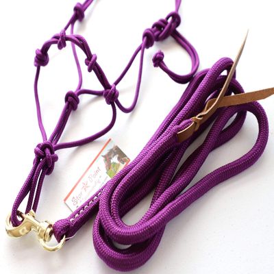 Star Point Horsemanship Mini-Pony 4 Knotted Rope Halter & 8' Lead Set (Purple, Large 36-42" Pony)