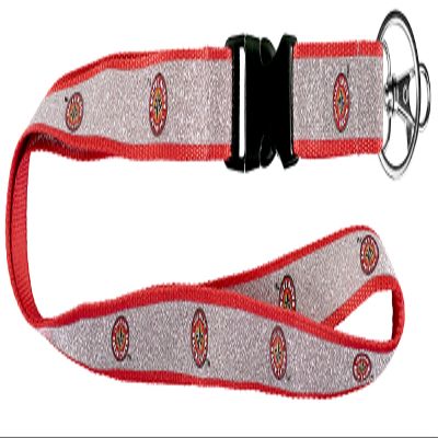 Aminco NCAA Louisiana Lafayette Ragin Cajuns Sparkle Lanyard