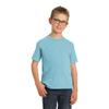 Port & Company Youth Beach Wash Garment-Dyed Tee S Mist view 1
