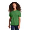 PORT AND COMPANY Fan Favorite Tee (PC450Y) Kiwi Green, L view 1