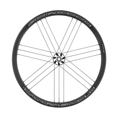 Campagnolo Scirocco Db Wheel Tyre Bright Label, 28"