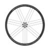 Campagnolo Scirocco Db Wheel Tyre Bright Label, 28" view 1