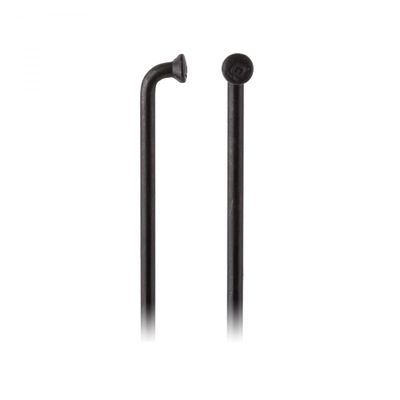 DT Swiss Champion - SCH023260S0100