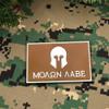 Morton Home Molon Labe Fastener Patch | Airsoft Paintball Tactical Military Rubber Badges PVC Rubber 3D Morale (Rec Brown) view 3