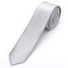 Landisun Silver Tie Men Women Solid Skinny Ties Slim Ties Satin Tie-Silver view 1