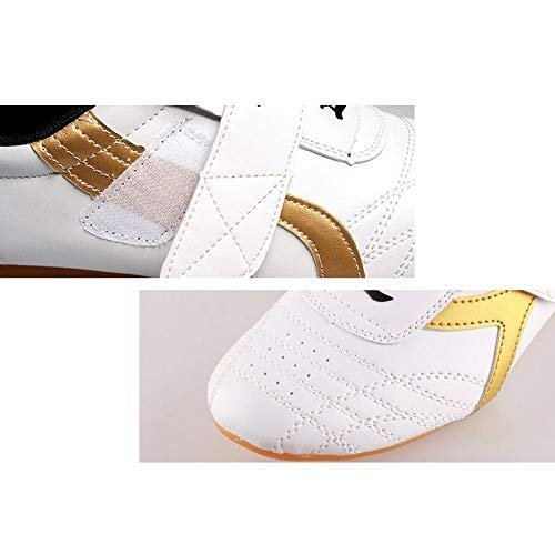 Taekwondo Shoes, Dilwe PU Leather Soft Sole Taekwondo Shoes for Taichi Gym Training (40)
