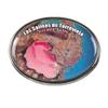 Collectible Novelty Pin for Backpack, Scarf - Made From Jeweler Class Metal - Spartan and the Green Egg Explorer Pin Series: Las Salinas de Torreviaja, Spain (327) view 1