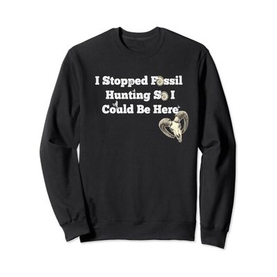 I Stopped Fossil Hunting So I Could Be Here Sweatshirt