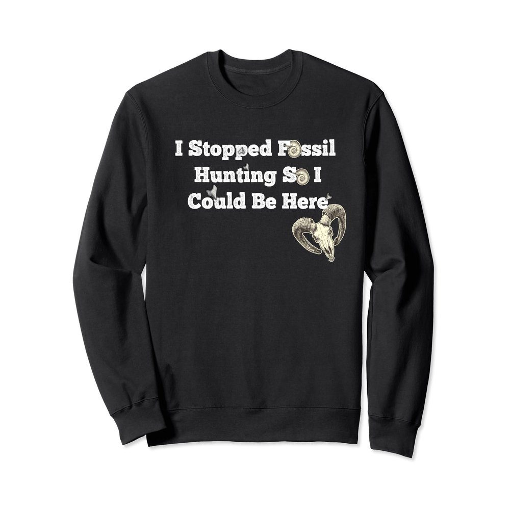 I Stopped Fossil Hunting So I Could Be Here Sweatshirt