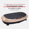 Bodysculpture Exercise Vibration Plate Machine Full Body Workout Compact Size Platform. view 3